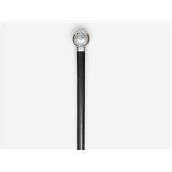 Walking Stick