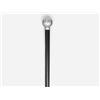 Image 1 : Walking Stick