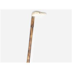 Walking Stick