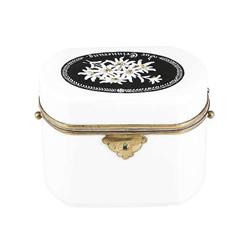 Biedermeier Sugar Box