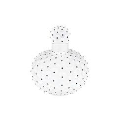 Perfume Bottle