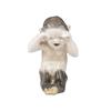 Image 1 : Crying Faun