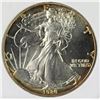 Image 1 : 1989 AMERICAN SILVER EAGLE