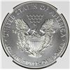 Image 2 : 2015 AMERICAN SILVER EAGLE