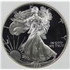 Image 1 : 1993 AMERICAN SILVER EAGLE