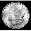 Image 2 : 1885-p . . Morgan Dollar $1 Grades Choice+ Unc