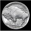 Image 5 : ***Auction Highlight*** 1924-s . . Buffalo Nickel 5c Graded vf+ By USCG (fc)