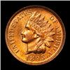 Image 3 : 1895 . . Indian Cent 1c Graded Choice Unc RD by USCG