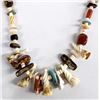 Image 1 : Native American Navajo Treasure Necklace