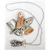 Image 1 : Natural Abalone and Abalone Shell Fish Necklace