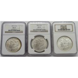 3- NGC MORGAN DOLLARS- 1883-O MS63, 1884-O MS63,