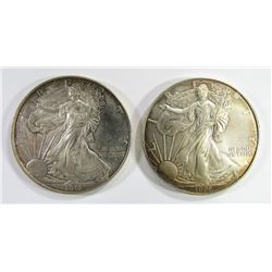2013 & 1999 AMERICAN SILVER EAGLES
