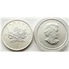 Image 2 : 2013 CANADA ATELOPE & 2011 MAPLE