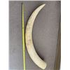 Image 3 : Authenticated Elephant Tusk, approx 20Lbsand 36 inches long., SOLD ON AUTHORITY FROM THE CONSIGNOR O