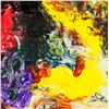 Image 1 : Helen Frankenthaler American Abstract OOC