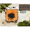Image 1 : Alberto Burri Italian Expressionist Mixed Media