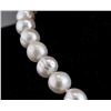 Image 3 : Fresh Water Pearl Necklace CRV $ 1390