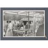 Image 2 : Lot of Personal and Press Photographs From Estate of Paul C. Smith, WWII-related and Other