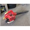 Image 1 : Homelite Gas Leaf Blower