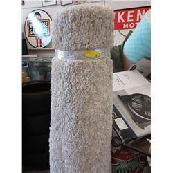 Ivory Shag Carpet