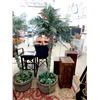 Image 1 : Six Foot Tall Imitation Palm Tree