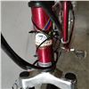 Image 3 : BURGUNDY INFINITI TELLURIDE BIKE