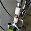 Image 3 : WHITE AND GREEN SCHWIIN BIKE