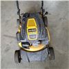 Image 2 : CLUB CADET CC550 5P LAWN MOWER