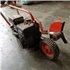 Image 3 : GARDEN EDGER