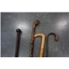 Image 2 : 4 WALKING CANES