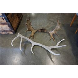 SET OF ANTLERS
