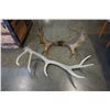 Image 1 : SET OF ANTLERS