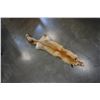 Image 4 : FOX FUR PELT