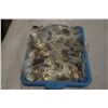 Image 1 : TRAY OF DOG TAGS MANCHURIAN CANDIDATE AND FIRST NATIONS KEYCHAIN PENDENTS