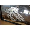 Image 2 : MIRRORED FIRST NATIONS PICTURE