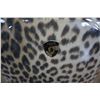 Image 2 : HEYS LEOPARD SUITCASE