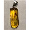 Image 1 : Amber Sterling Silver Pendant Filled with Insects & Plants Total Weight is 4.2 Grams