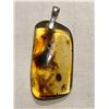 Image 1 : Beautiful Amber Sterling Silver Pendant Filled with Large Insects 4 Grams in Weight