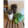 Image 1 : LOT OF CAMPING EQUIPMENT (SLEEPING BAG, TENT)