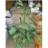 Image 2 : LOT OF 3 SHELVES AND ARTIFICIAL PLANT ( 2 WOOD SHELVES, 1 WICKER)