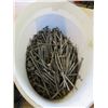 Image 3 : LOT OF NAILS AND SCREWS (DECK SCREWS, ROOFING NAILS, GRAVITY GUIDING SYSTEM, ETC)