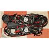 Image 1 : SNOWSHOES WITH WALKING STICKS IN CARRY BAG