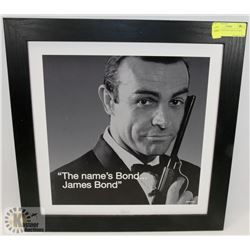 JAMES BOND POPULAR CULTURE PICTURE