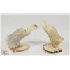 Image 1 : ANTLER CARVING PAIR