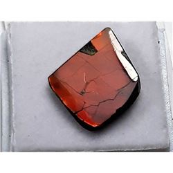 17)  RED FIRE AMMOLITE GEMSTONE