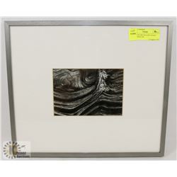 "SPIRIT OF THE YELLOW CEDAR" PHOTO PRINT BY