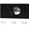 Image 1 : SWAROVSKI LADY BUG RETIRES FIGURE