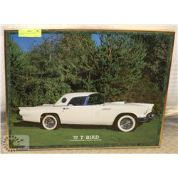 FRAMED 1957 WHITE T-BIRD PICTURE
