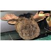 Image 1 : PLUSH STUFFED MOOSE HEAD WALL HANGING