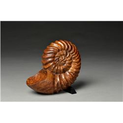 Bob Rotche | Ammonite Memories